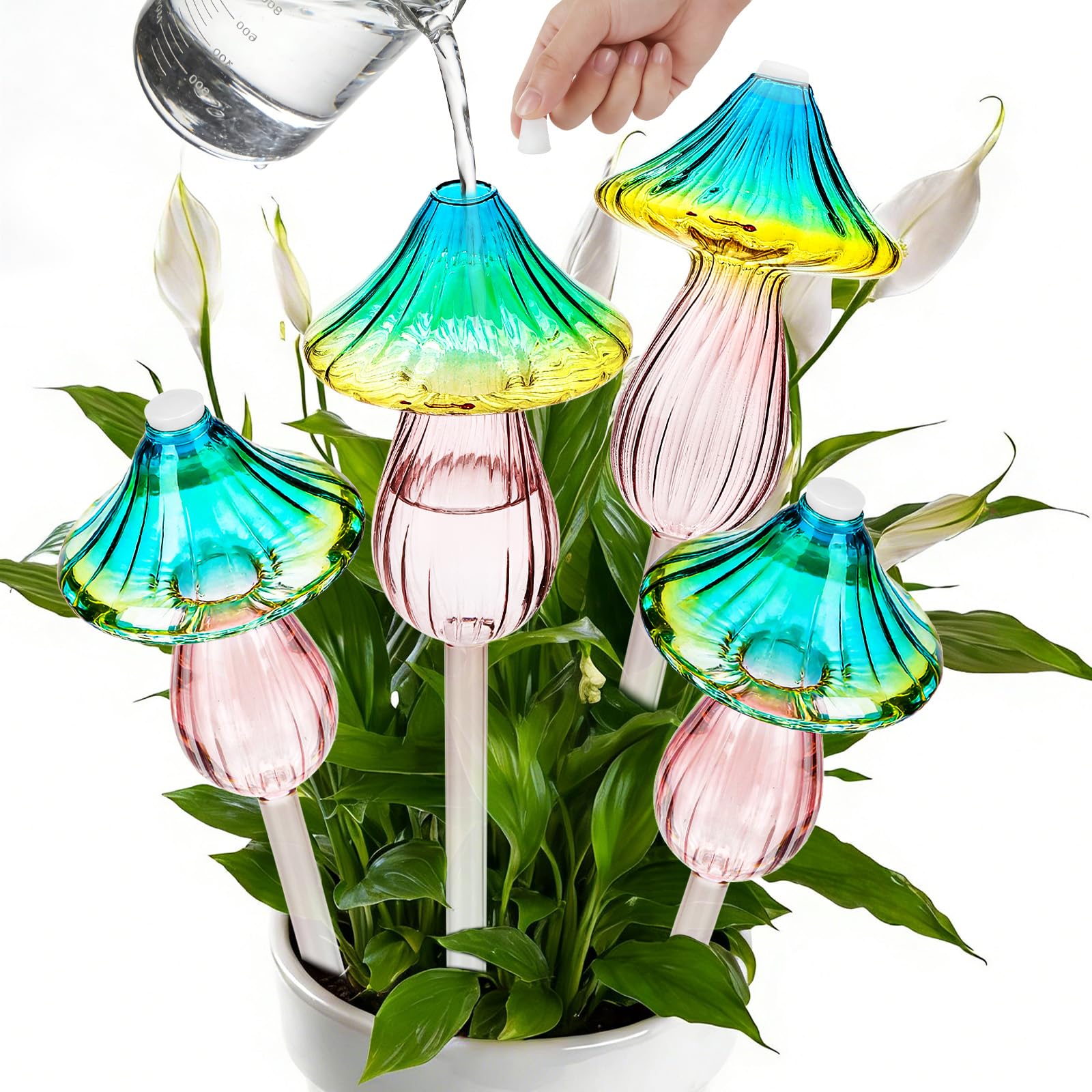 Retainbre glass plant watering globes on display set providing steady hydration for plants.