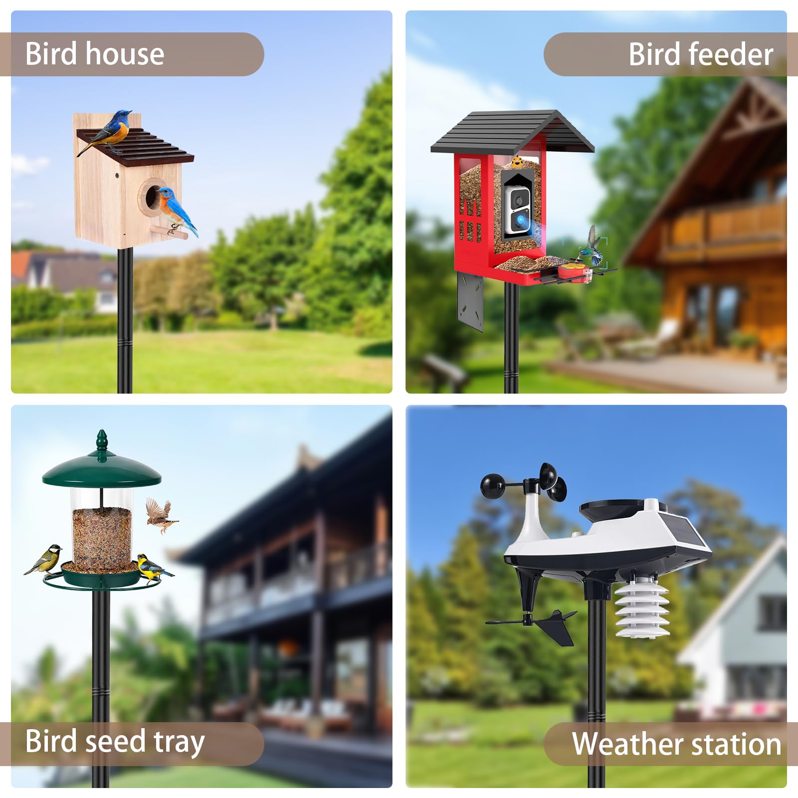 ReTang outdoor-ready bird feeding setup demonstrates a durable, versatile garden pole