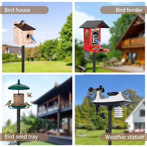 ReTang outdoor-ready bird feeding setup demonstrates a durable, versatile garden pole