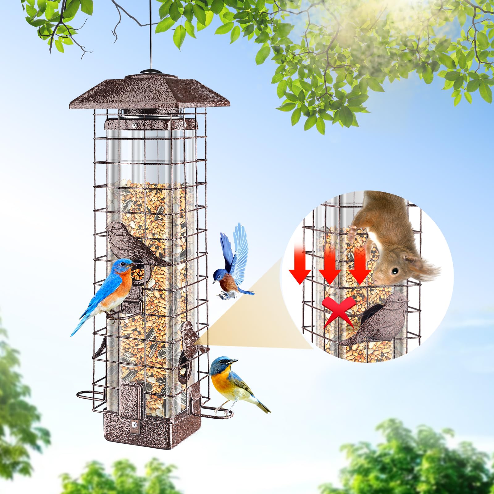 ReTang Squirrel-Proof Feeder with 3lb capacity keeps seed available for cardinals and chickadees.
