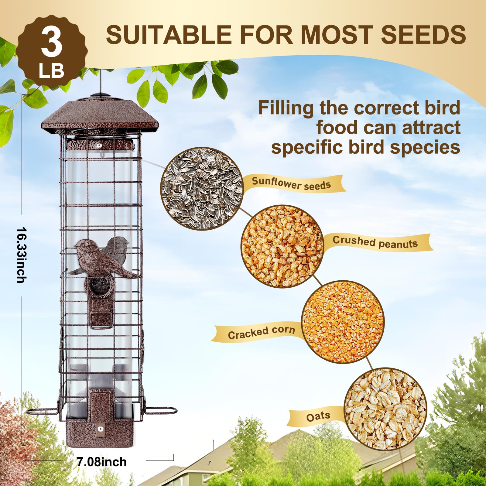 ReTang Squirrel-Proof Feeder with four ports attracts multiple bird species at once.