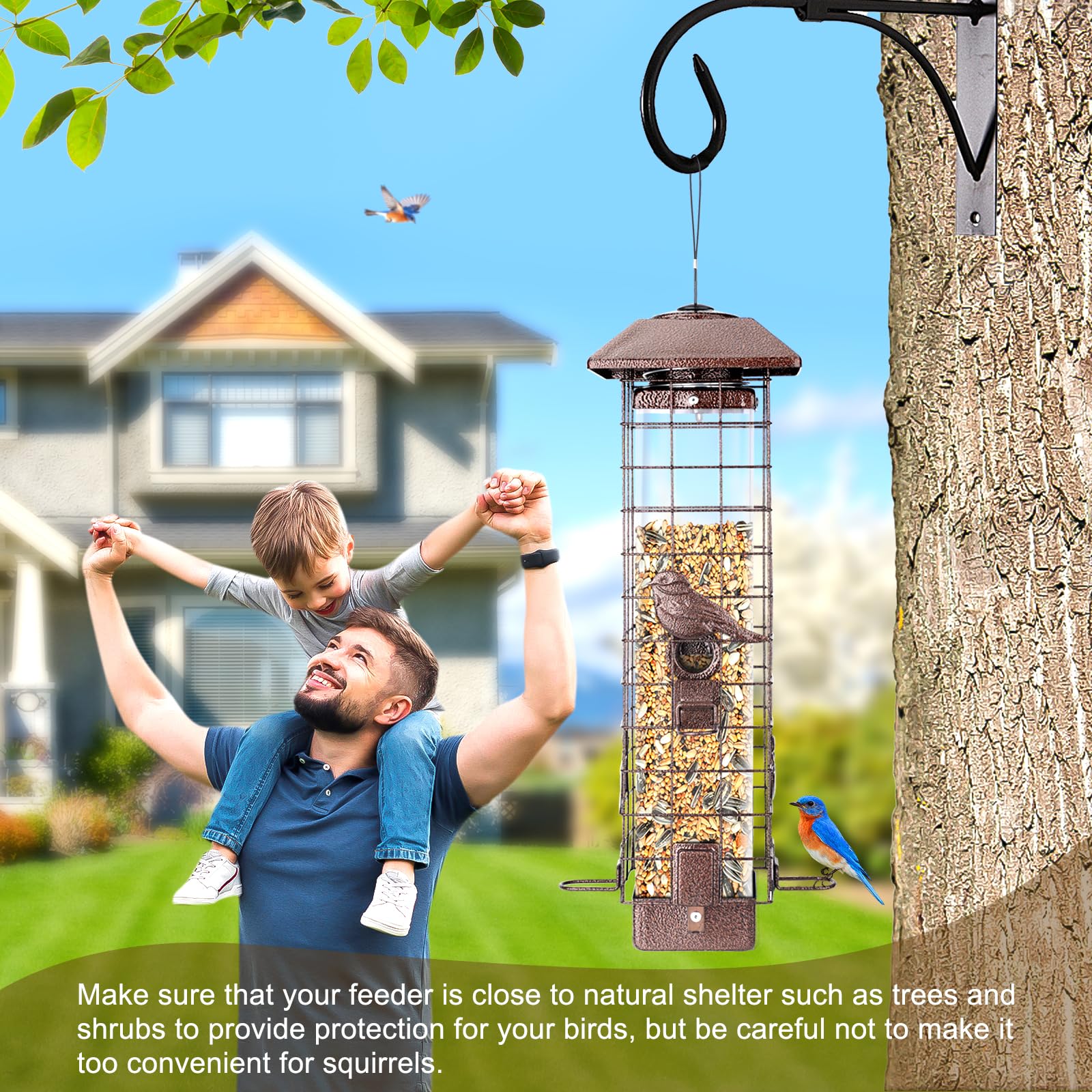 ReTang Squirrel-Proof Feeder can be placed near windows to enjoy birdwatching.