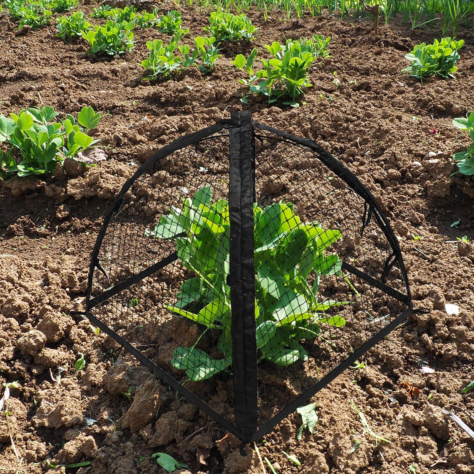RETOONGKING plastic-steel support rods provide sturdy, bendable structure for growth