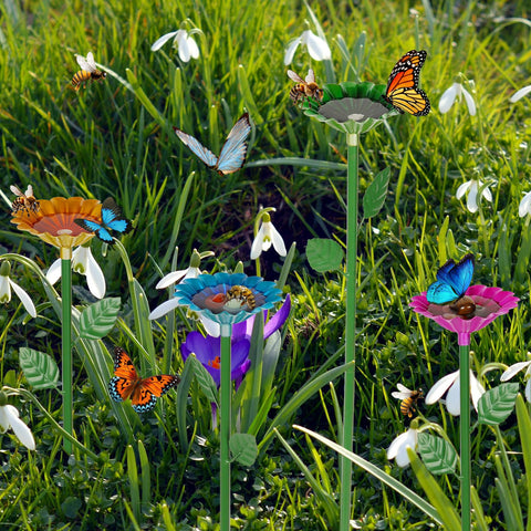 Retyion floating bee bath setup doubles as a butterfly bath in outdoor spaces.