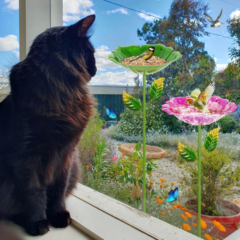 Retyion flower bird bath reflective sunlight, colorful details attract curious visitors.