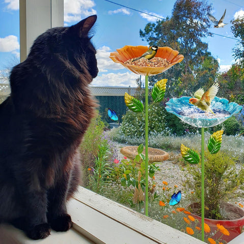 Retyion garden focal point invites birds to linger and feed.
