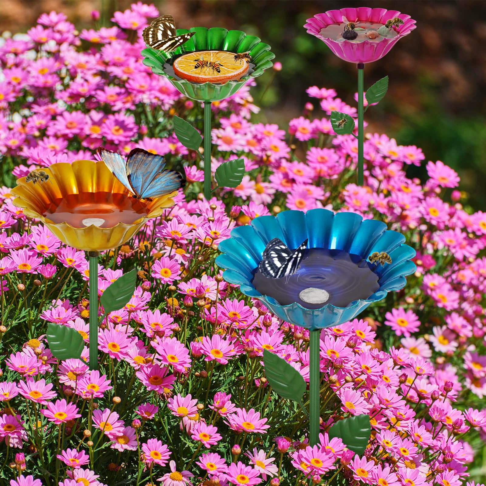 Retyion colorful-bloom finish brightens patios and flower beds.