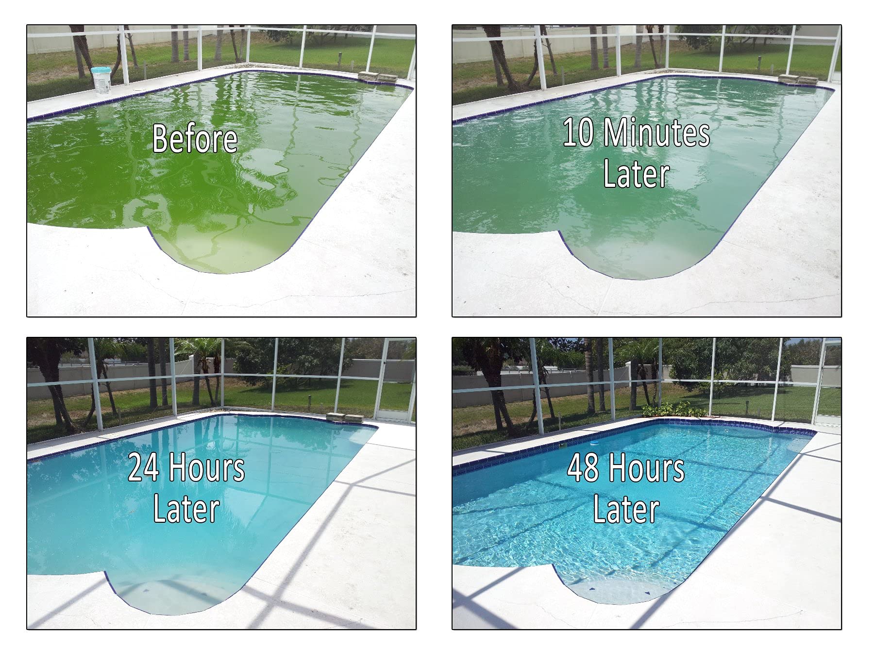 REVIVE! water-clarity result after phosphate removal in pools