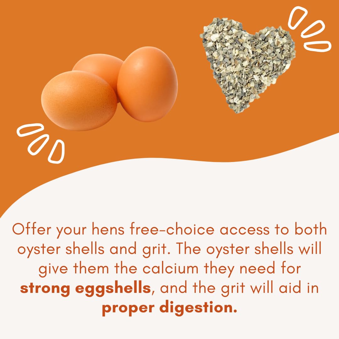 Revolutionary Chicken auto-refill cup saves time during feeding.