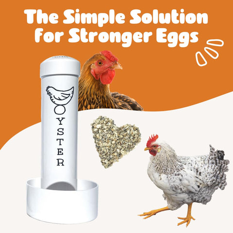 Revolutionary Chicken Oyster Shell Feeder drainage holes keep shells dry.