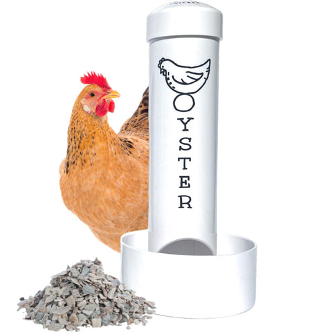 Revolutionary Chicken Oyster Shell Feeder mounted in the coop for easy calcium access.