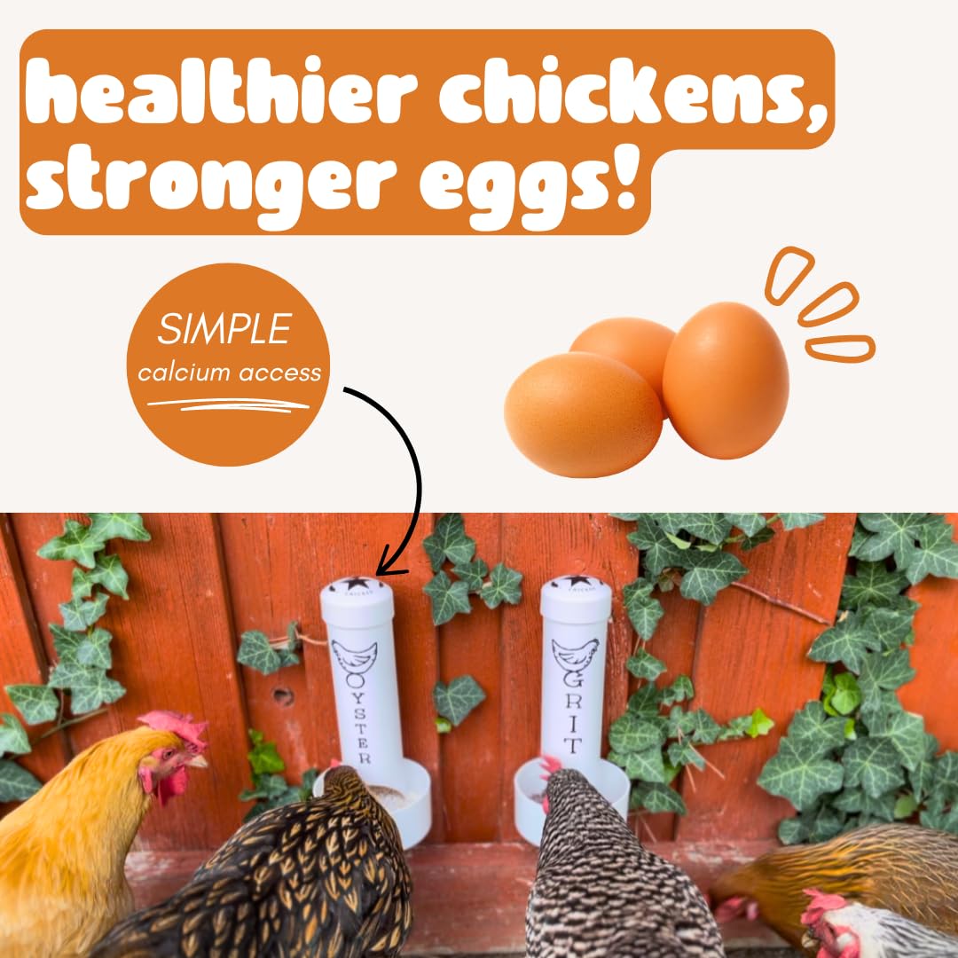 Revolutionary Chicken Oyster Shell Feeder compatible with roosters.