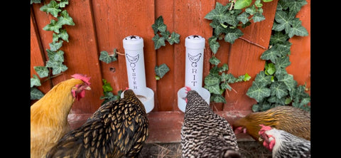 Revolutionary Chicken drainage design helps keep contents dry.