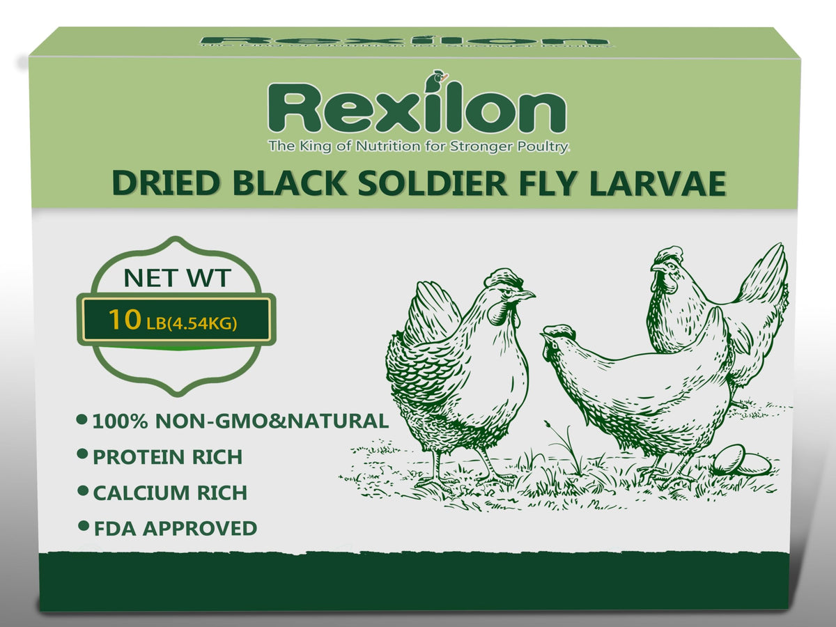 Rexilon dried BSF larvae packaging shown, delivering a pure natural protein boost for poultry.