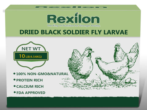 Rexilon dried BSF larvae packaging shown, delivering a pure natural protein boost for poultry.