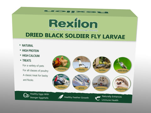 Rexilon dried BSF larvae product shot, premium quality feed option for poultry care.