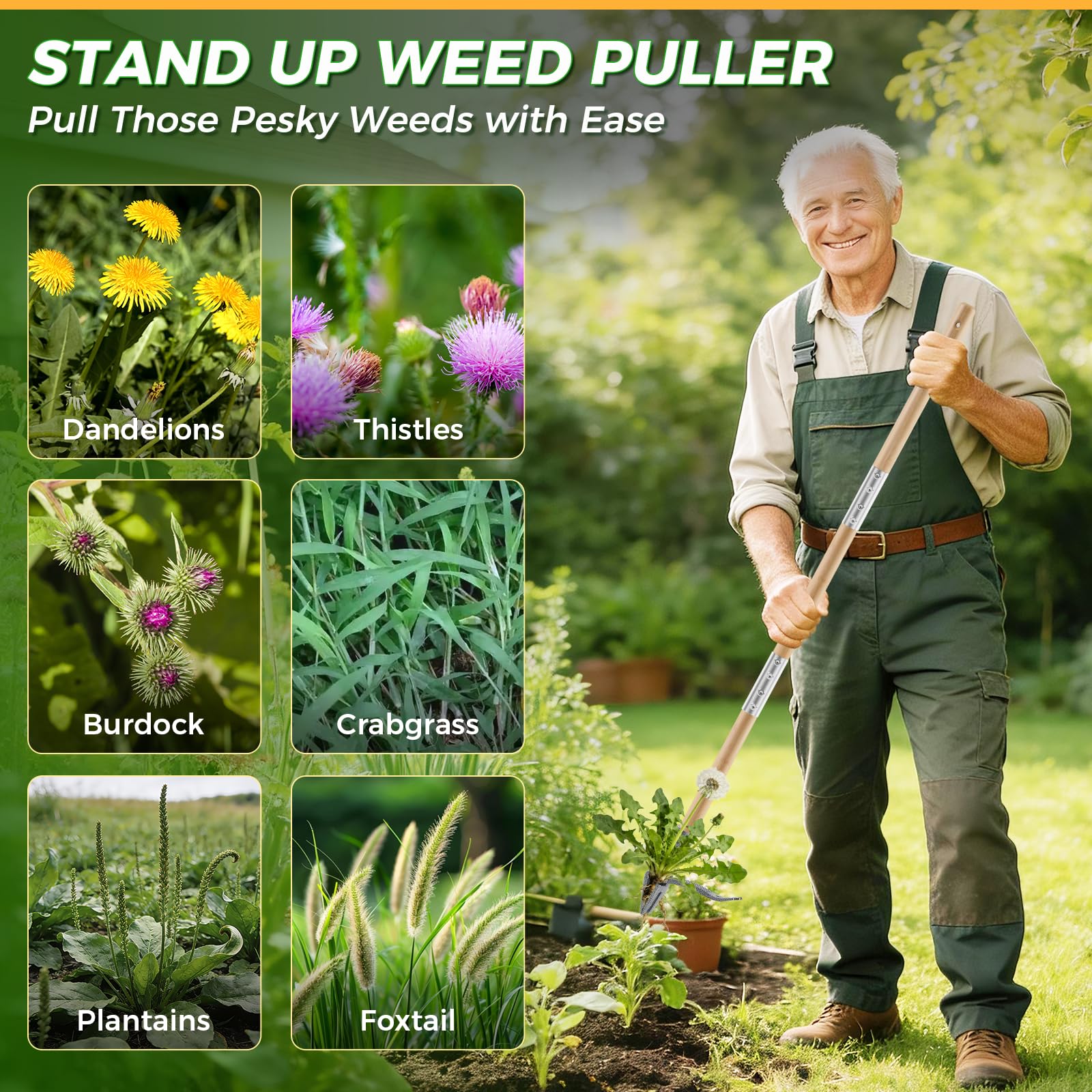 RexWeed back-friendly weed remover ready for garden tasks