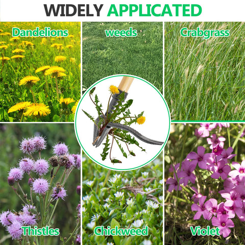 BellaJoyz back-friendly tool suitable for gardens, lawns, and yards.