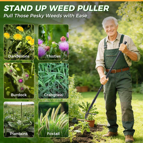 RexWeed deep-root removal claws target stubborn weeds with ease.