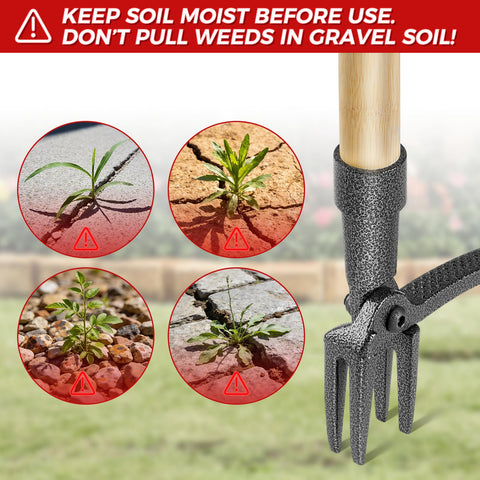RexWeed heavy-duty garden tool tackling dandelions and crabgrass