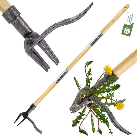 RexWeed weed puller stand-up tool with 4-claw head gripping weed roots