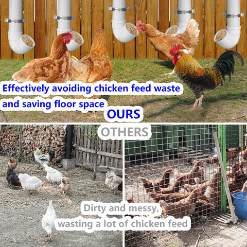 Rexwnadu feeder with 6-chickens capacity for simultaneous feeding.