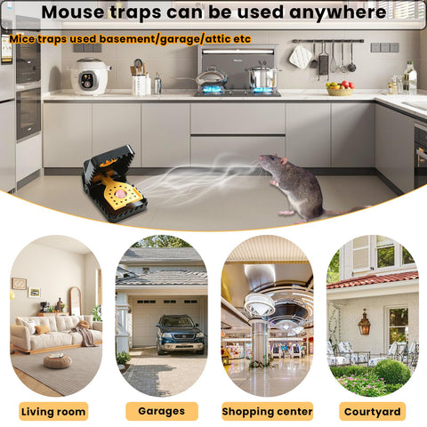 RGBRW reusable six-small and two-large trap set with clip for organization.