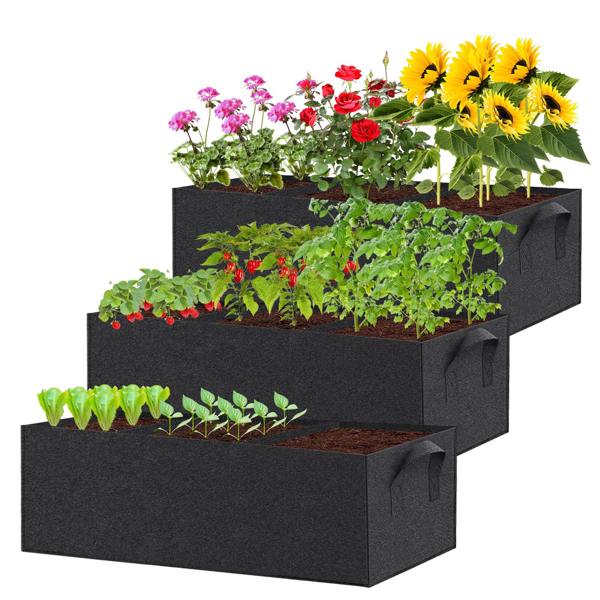 RGJ three-pack fabric raised garden bed for versatile plant spacing