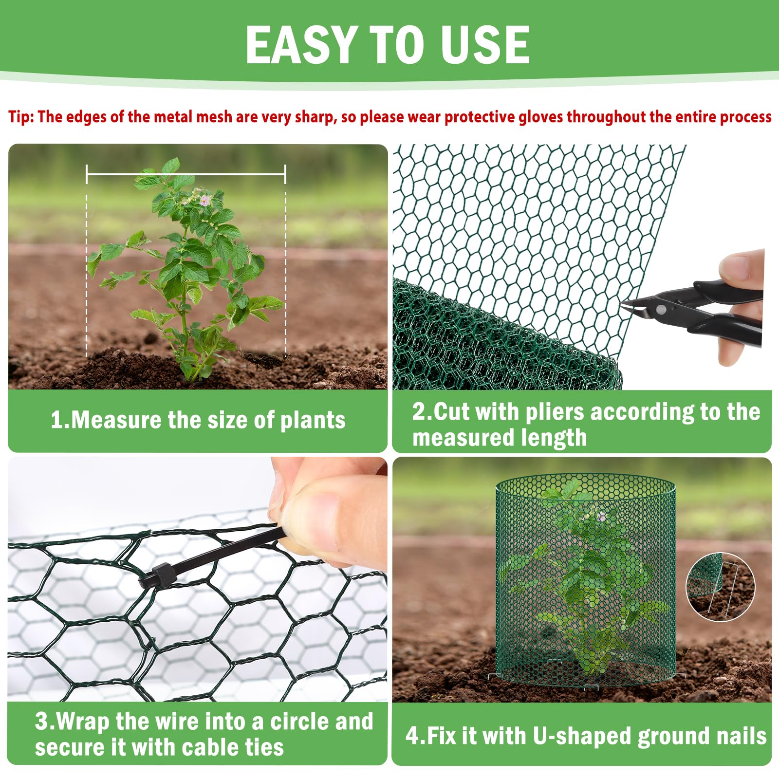 RGJ garden protection in use safeguards roses and lettuce outdoors.