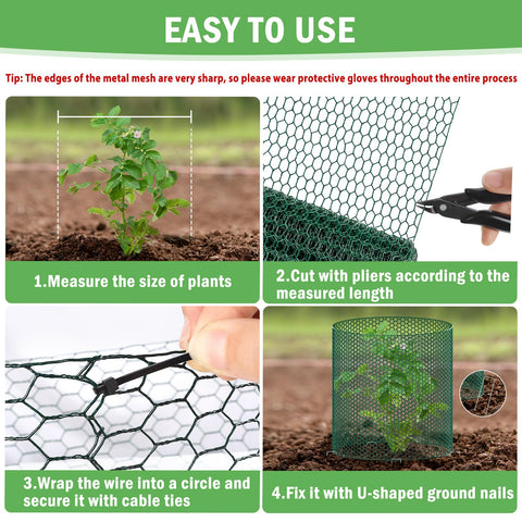 RGJ garden protection in use safeguards roses and lettuce outdoors.