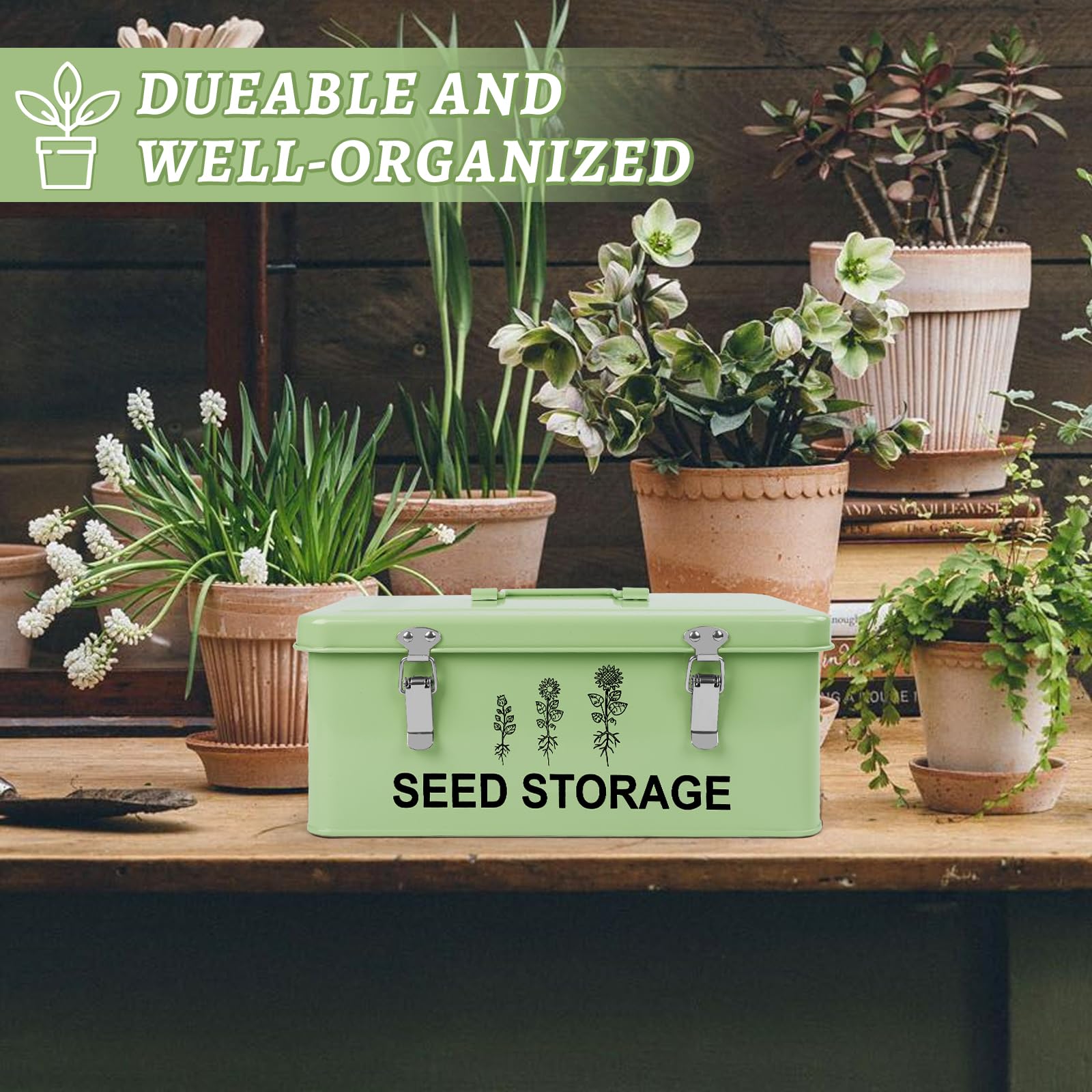 RGJ multi-function seed box stores seeds, tools, and small hardware.