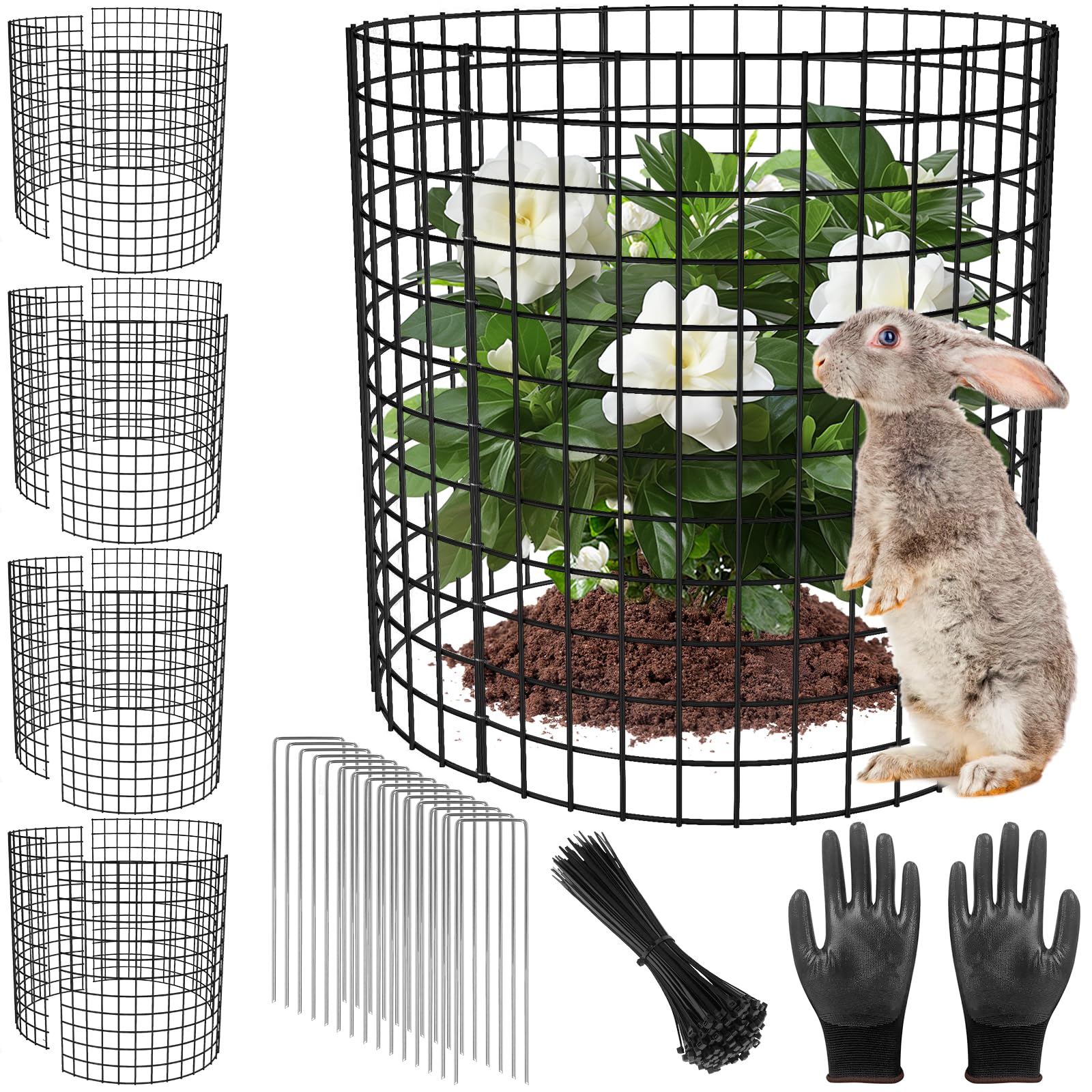 RGJ plant protector assembly around a young plant shielding it from rabbits