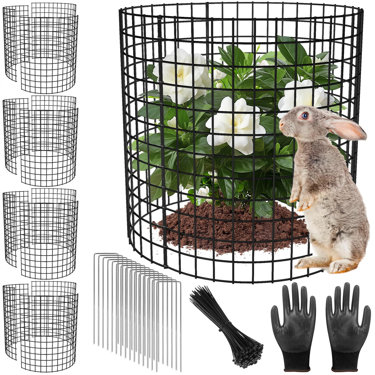 RGJ plant protector assembly around a young plant shielding it from rabbits