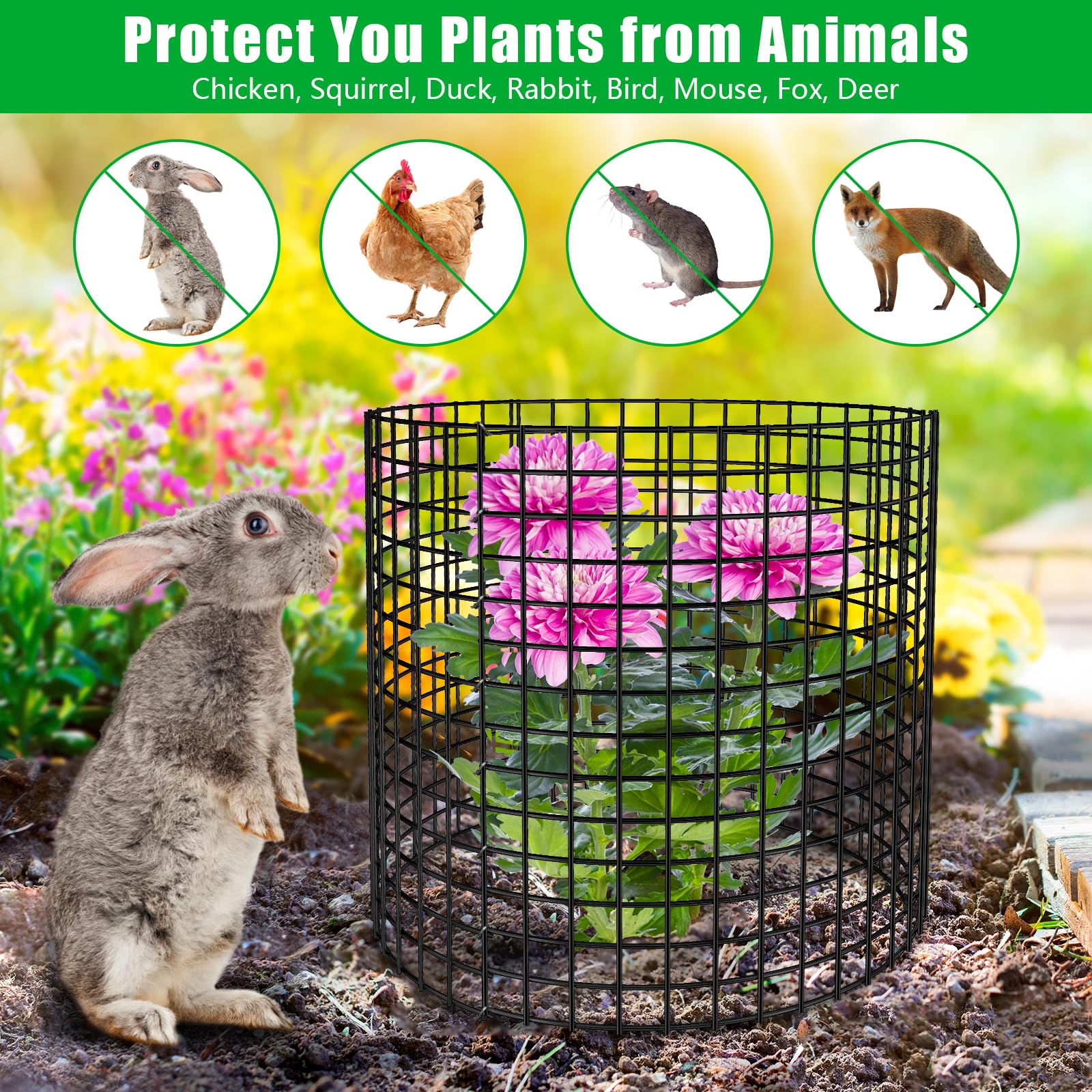 RGJ rectangular-cage-configuration shows customizable shapes for larger plants.