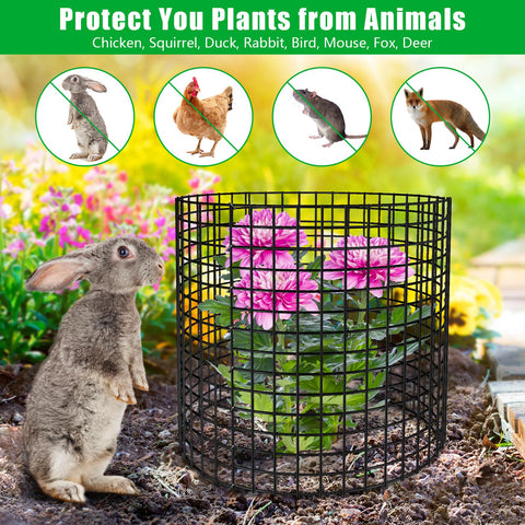 RGJ rectangular-cage-configuration shows customizable shapes for larger plants.