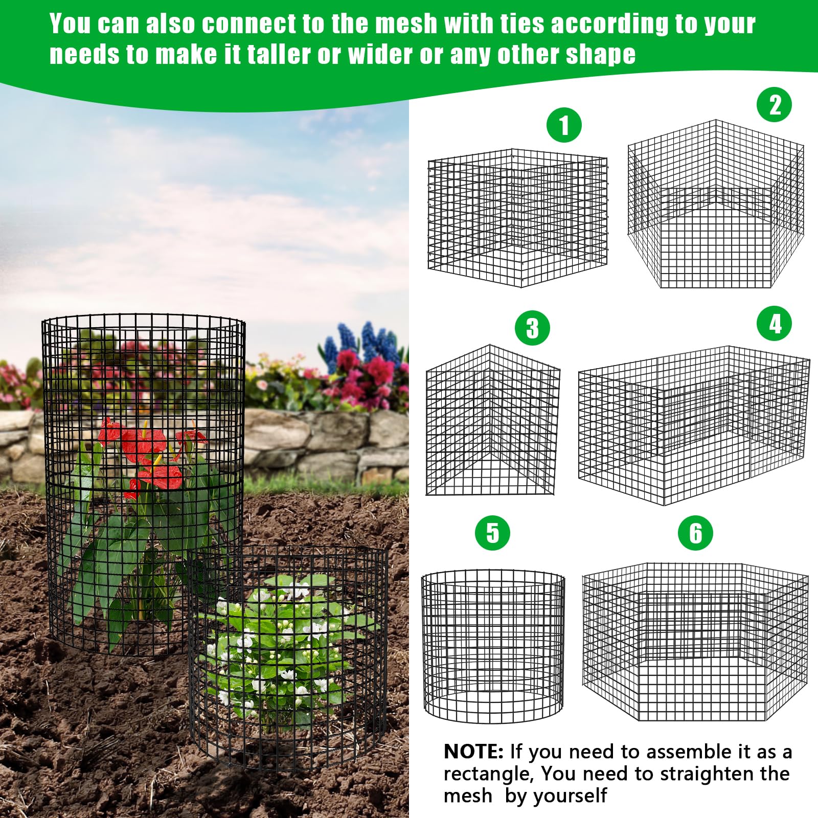 RGJ shield-for-seedlings provides airflow while shielding young plants.