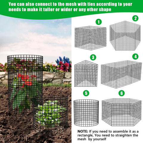 RGJ shield-for-seedlings provides airflow while shielding young plants.