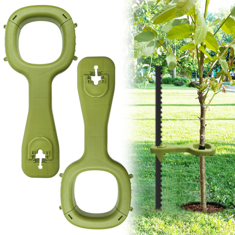 RGJ tree supports for young saplings stabilize growth in windy weather