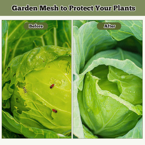 RGQSUN garden protection netting guards against flies, mosquitoes, and wasps.