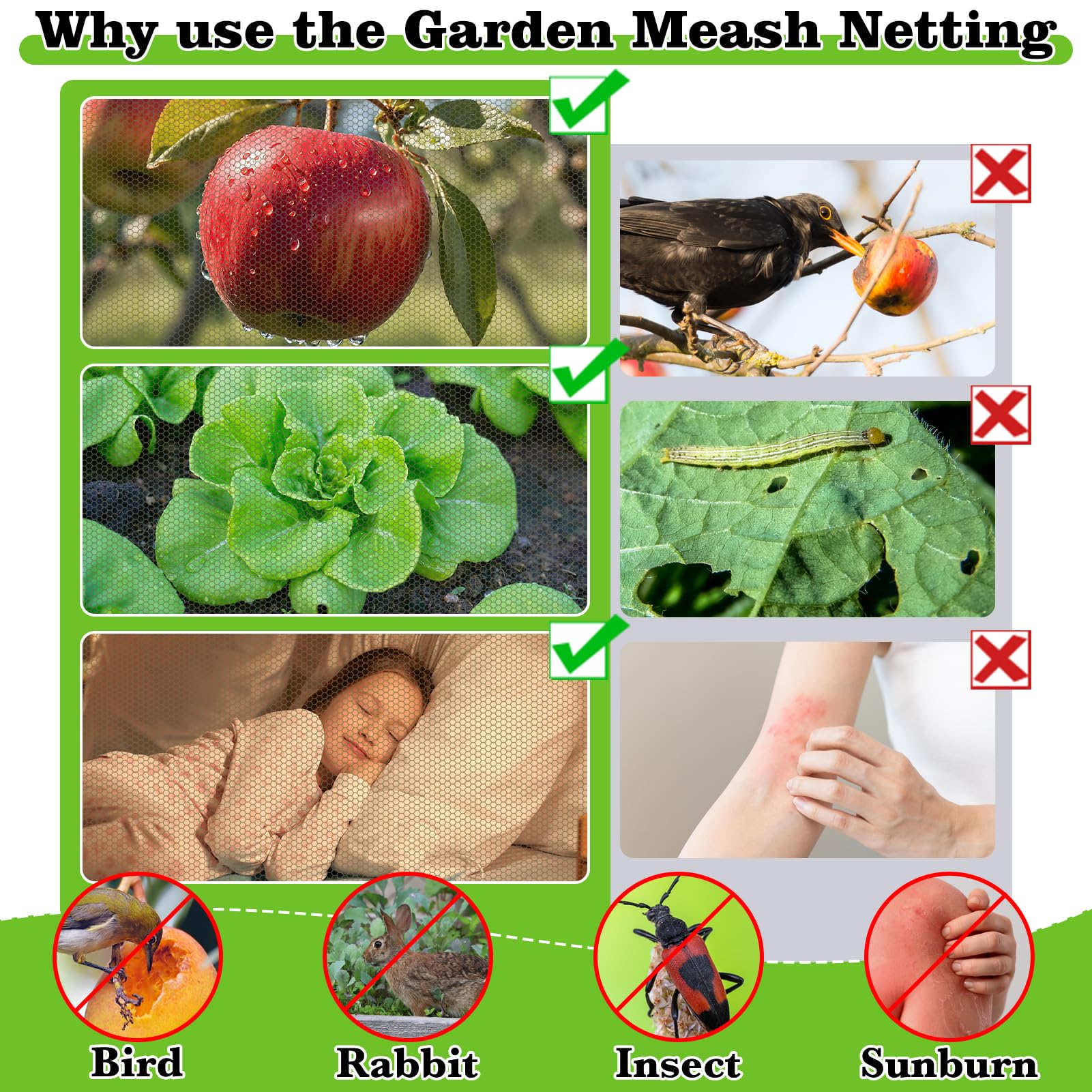 RGQSUN transparent, odorless netting allows airflow while blocking insects.