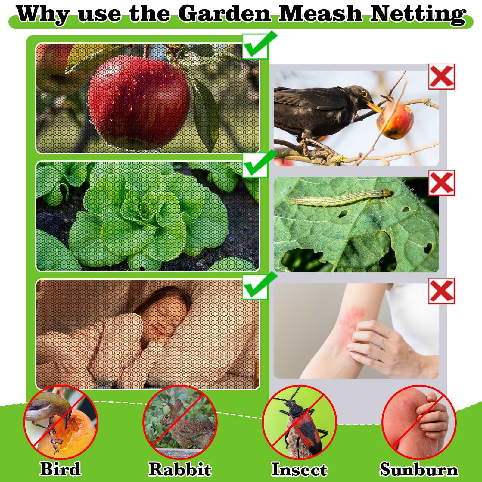 RGQSUN visual transparency allows plant progress monitoring while blocking pests