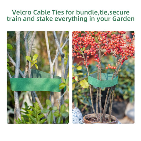 RHAHA plant support clips suit vines, tomatoes, and flowers