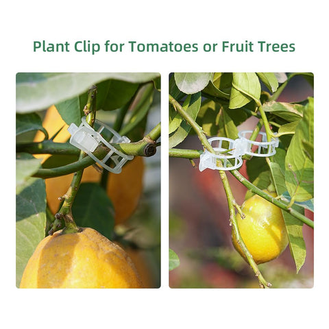 RHAHA sturdy black clips support seedlings and orchid stems