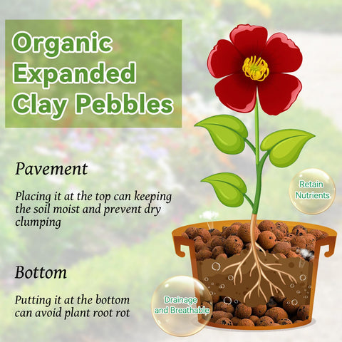 Riare 18 lb organic expanded clay pebbles in hydroponic setup; lightweight grow media.