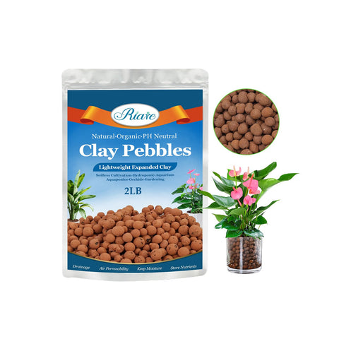 Riare 2 lb pack of organic expanded clay pebbles for indoor gardening.