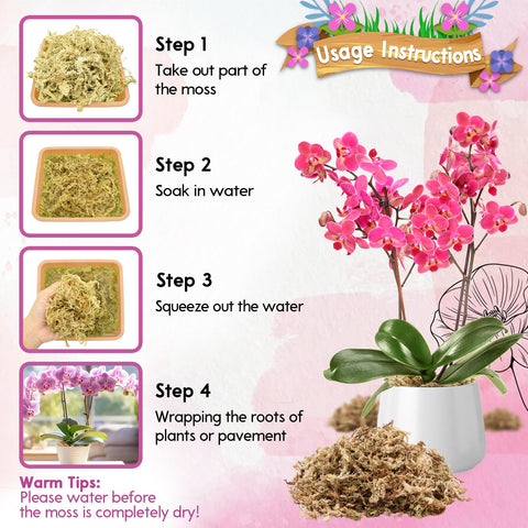 Riare moss supports carnivorous plants with moisture management