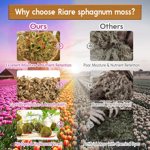 Riare carnivorous plant moss substrate maintains stable moisture for sensitive species
