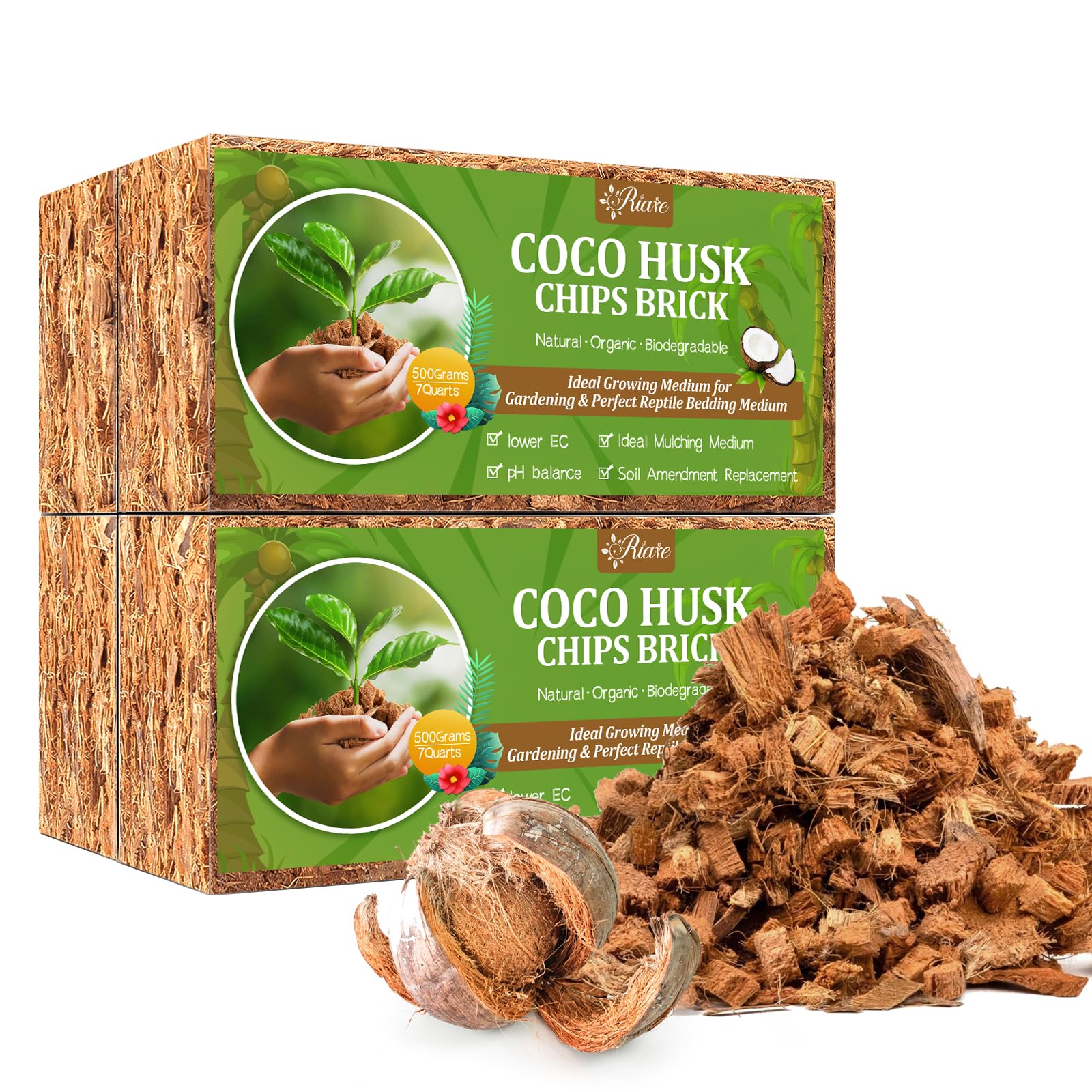 Riare Coco Chips bricks soaking to expand into a ready planting substrate.