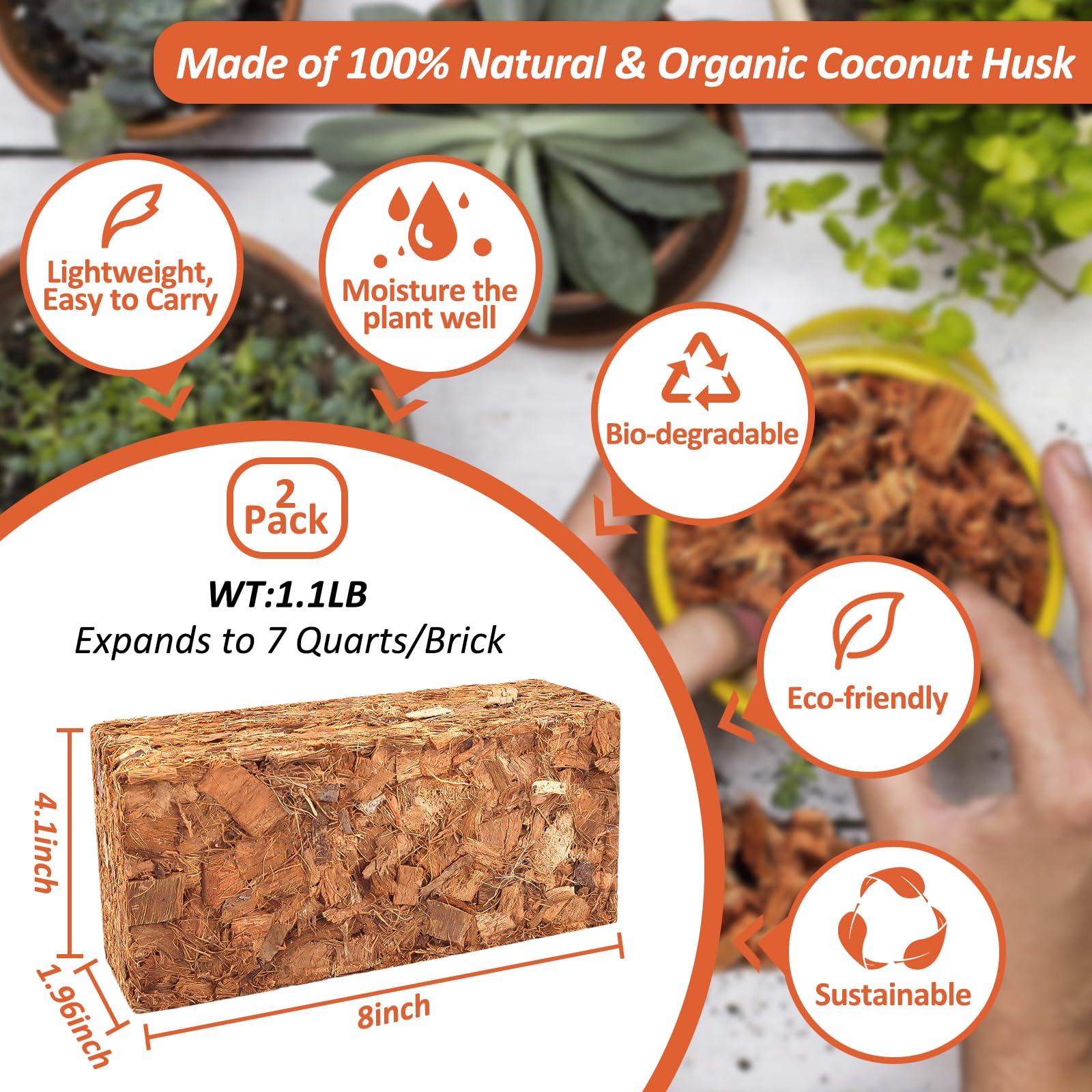 Riare Coco Chips expansion shows bricks soaking into a versatile planting medium.