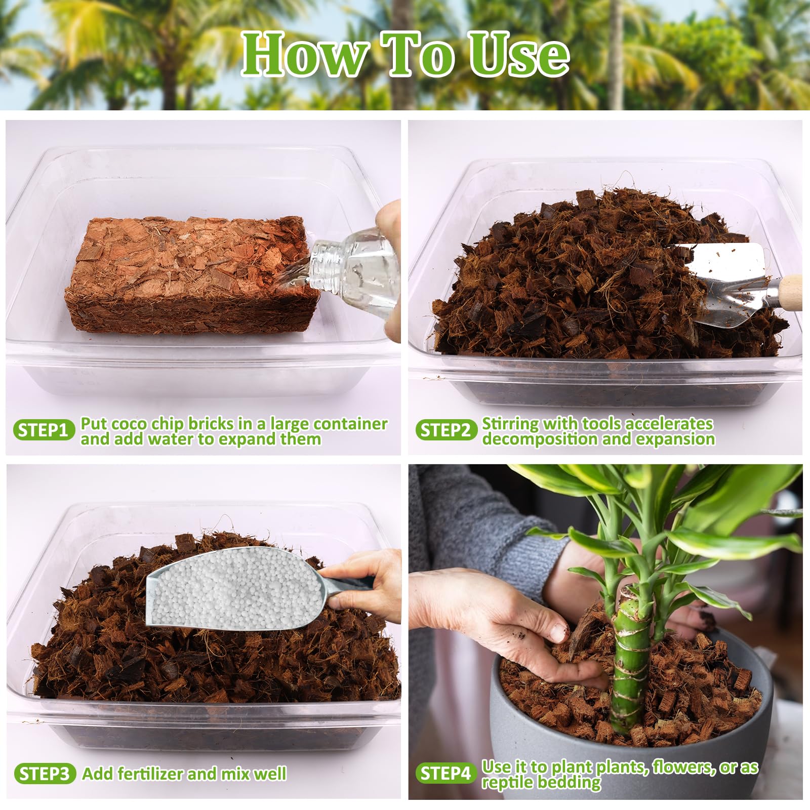 RiAre Coco Chips used as orchid-friendly planting medium with good drainage.